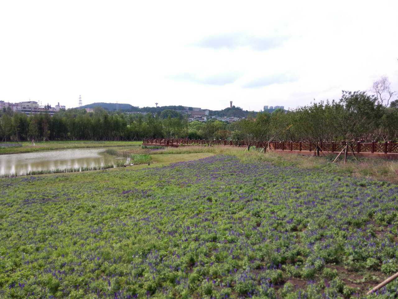 建成圖2