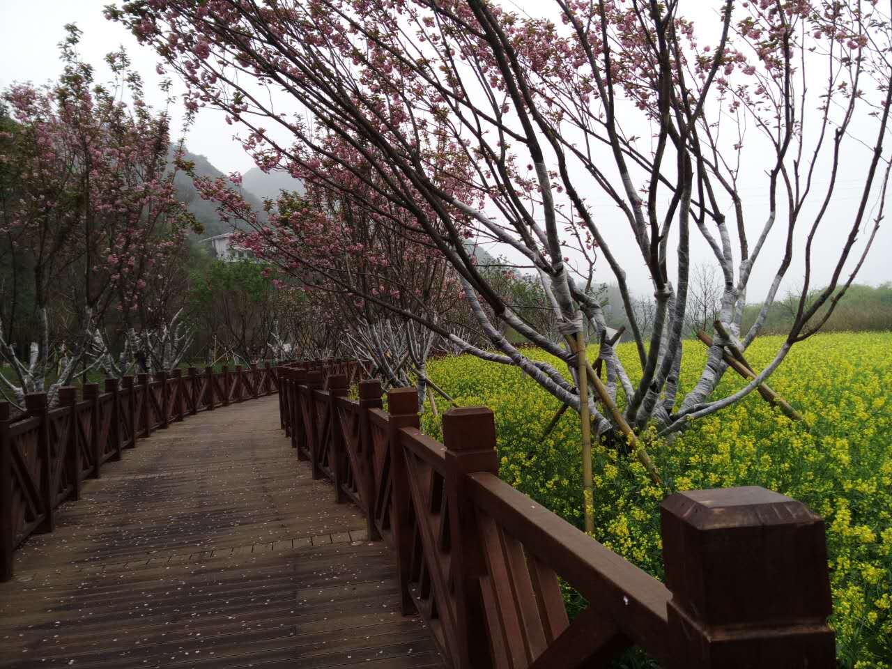 建成圖7