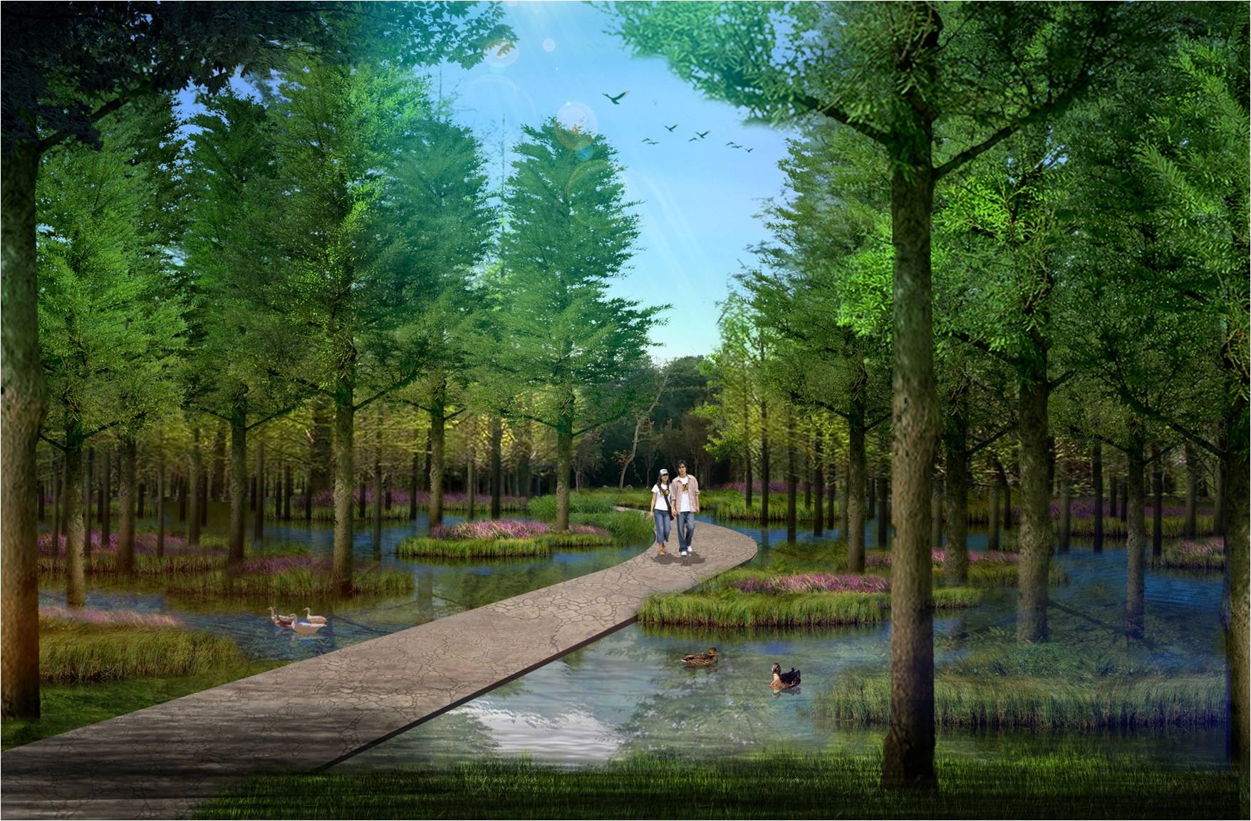 森林濕地效果圖4