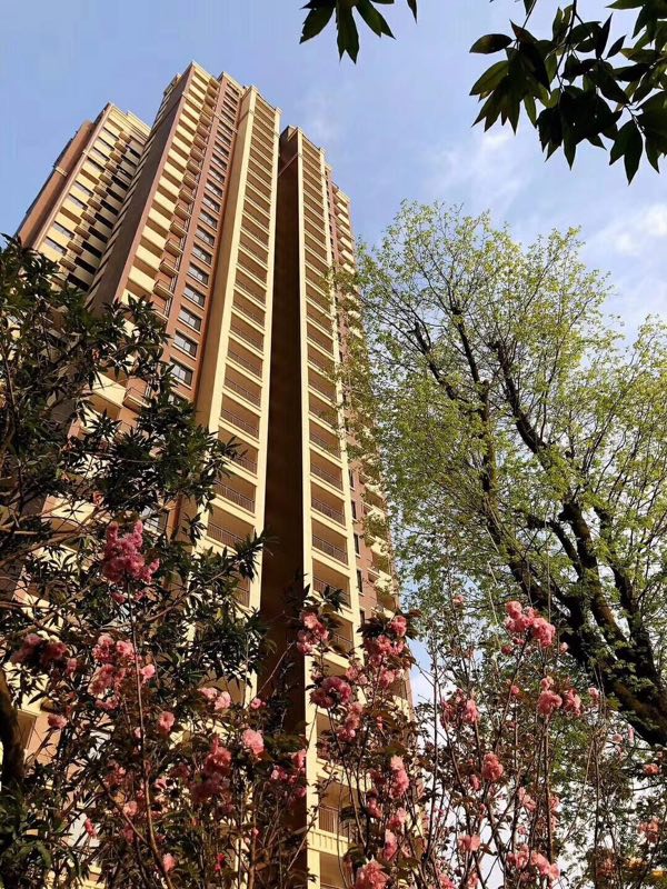 建成圖2