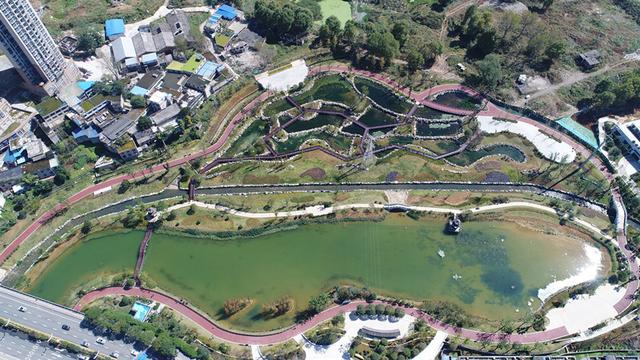 “臭水塘”變身“城市花園”！貴陽(yáng)七彩湖生態(tài)濕地公園被媒體稱贊