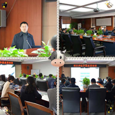 中恒學(xué)院組織開展項(xiàng)目評優(yōu)申報(bào)宣貫培訓(xùn)