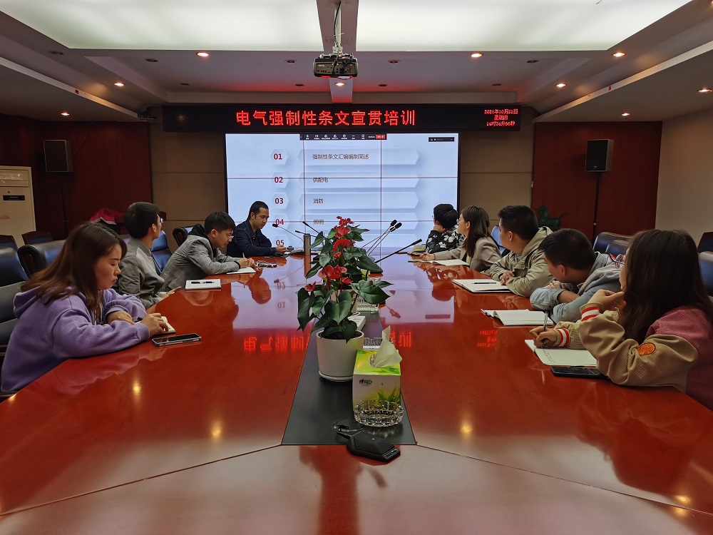 強(qiáng)條宣貫專(zhuān)題系列活動(dòng)（一）——電氣強(qiáng)制性條文問(wèn)題分析交流